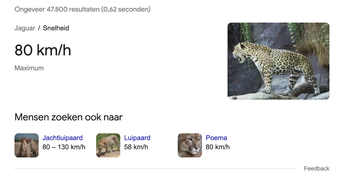 Knowledge panel van een Jaguar dier.